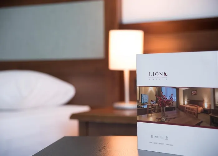 Hotel Lion Sunny