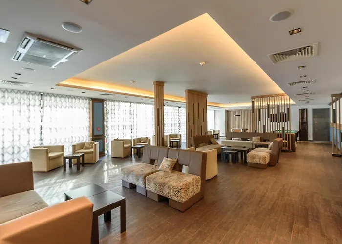 酒店 狮阳海滩酒店 4*