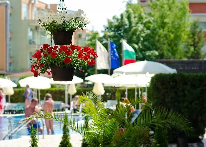 酒店 狮阳海滩酒店 4*