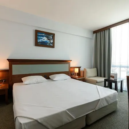 Lion Sunny Slantschew brjag