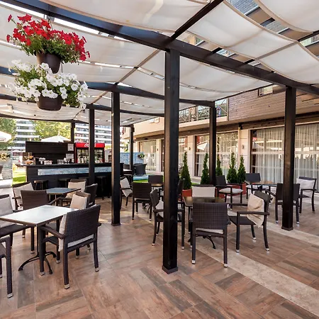 Lion Sunny ساني بيتش