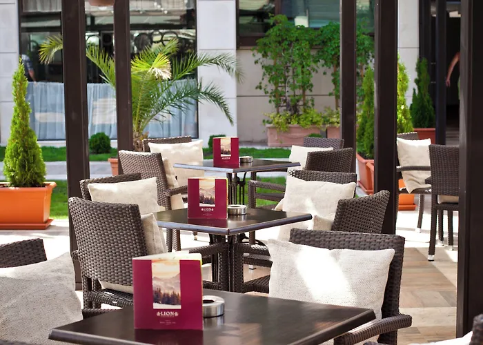 Lion Sunny Sunny Beach