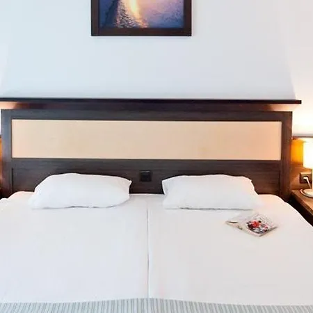 Lion Sunny Hotell 4*